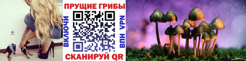 блэк спрут ссылка Йошкар-Ола Псилоцибиновые грибы ЛСД